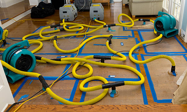Professional Water Damage Restoration technician working in Pendleton, SC
